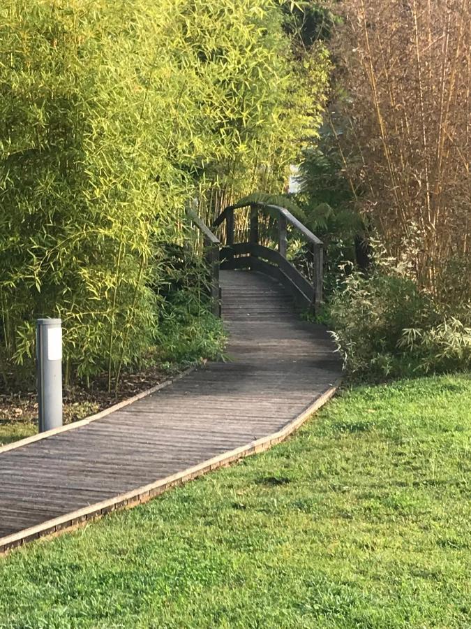 דירות קאן Tres Beau T2 Dans Parc Montfleury ,Proche Centre ,Au Calme 44 Bd Montfleury מראה חיצוני תמונה